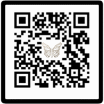 the-chrysalis-experience-website